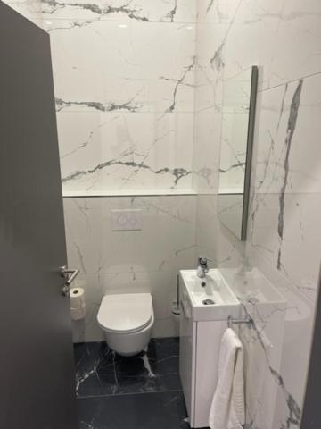 Wels Inn City Apartments מראה חיצוני תמונה